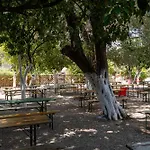 Social Κάμπινγκ