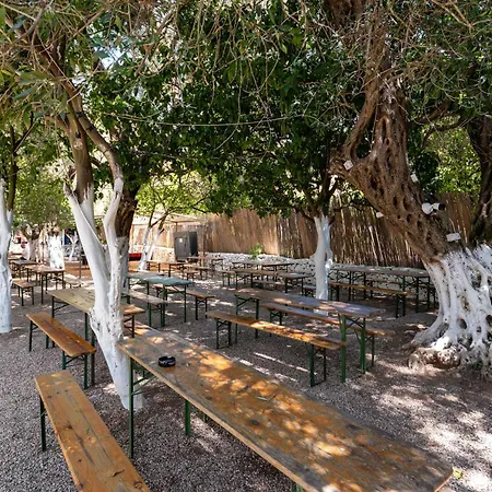 Social Campsite