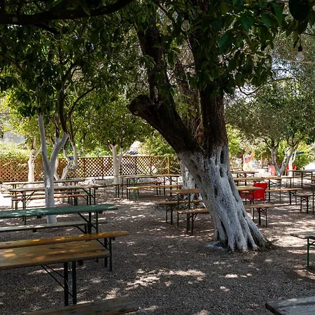 Social Campsite