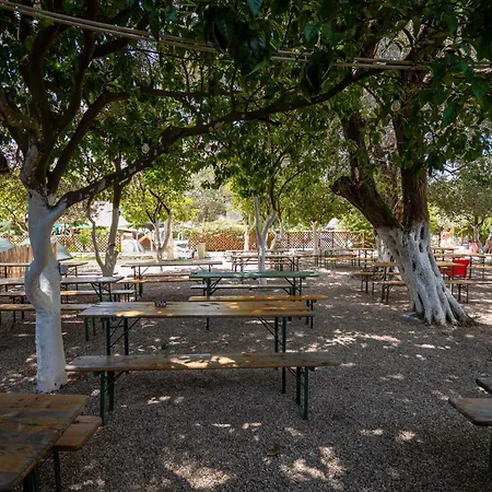 Social Campsite Jal