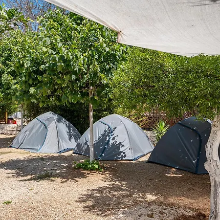 Social Campsite