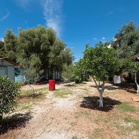 Parque de Campismo Social