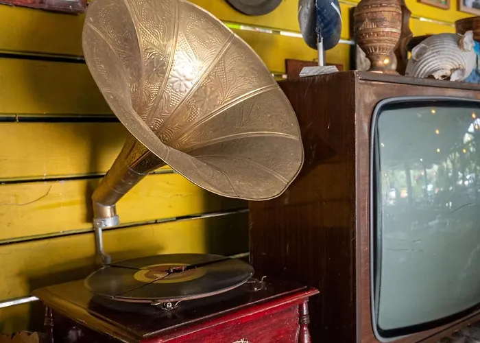 Social Kamp alanı Jal