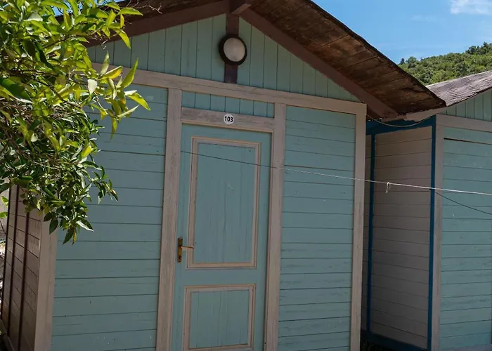 Kamp alanı Social Jal