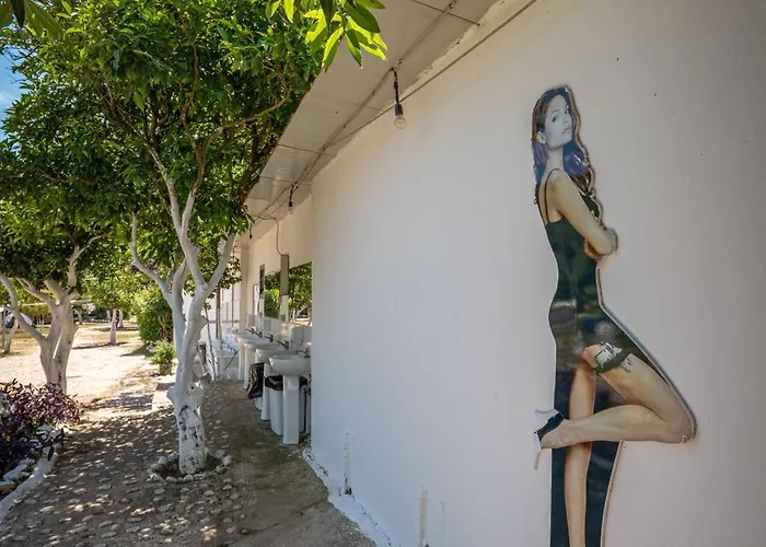 Kamp alanı Social *