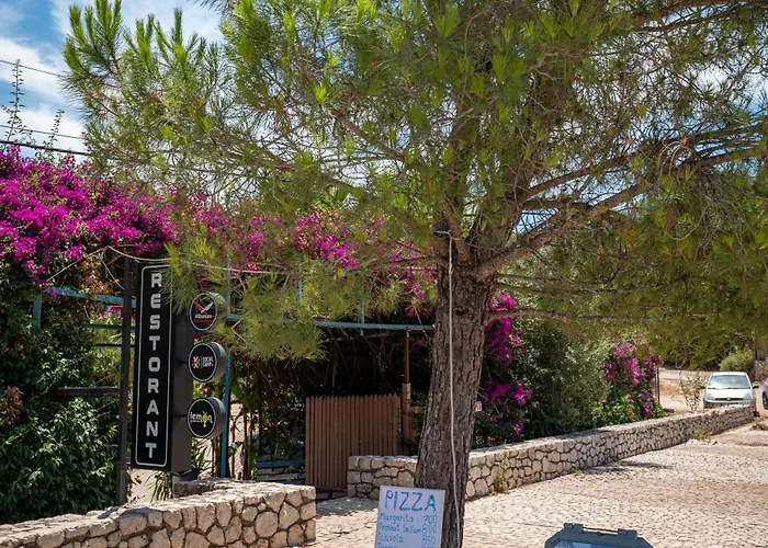 Kamp alanı Social Jal