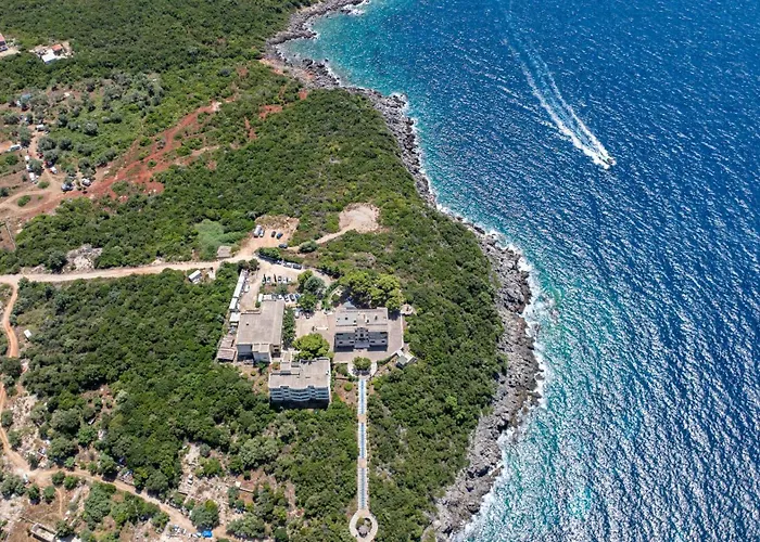 Kamp alanı Social Jal