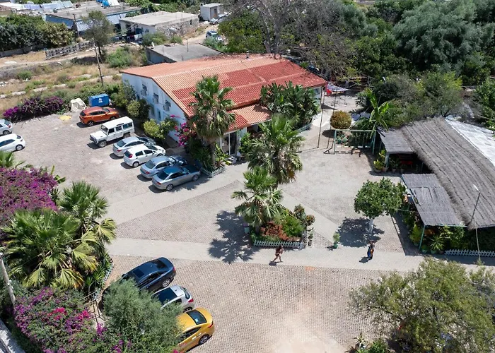 Social Kamp alanı *