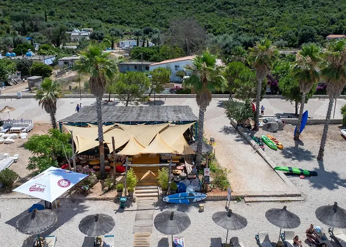 Social 营地 贾尔